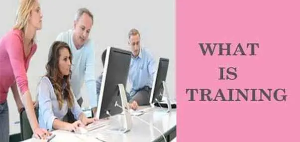What is Training? Define Training in HRM, its Benefits & Importance