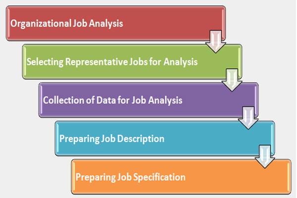 Job Analysis Process and Steps