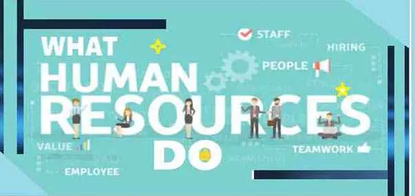 What does an HR Do? Role of Human Resource in company